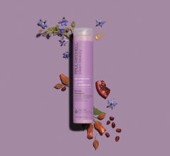 Šampon pro ochlazení a rozjasnění blond Paul Mitchell