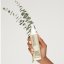 Everyday Leave-in treatment Paul Mitchell